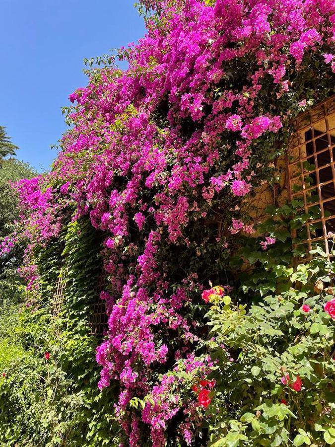 Can Codol De Fluvia - Casita Torroella de Fluvia Bagian luar foto
